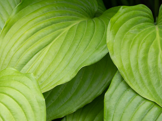 Similar image 21675235