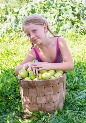 Similar image 21680509