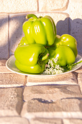 Similar image 21680737