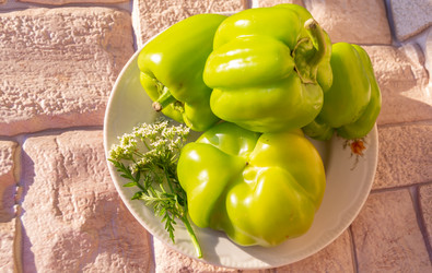 Similar image 21680738