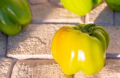 Similar image 21680750