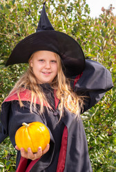 Similar image 21680768