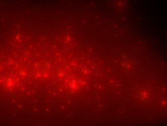 Similar image 21676105