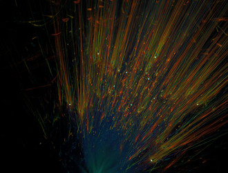 Similar image 21676569