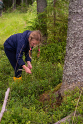 Similar image 21680534