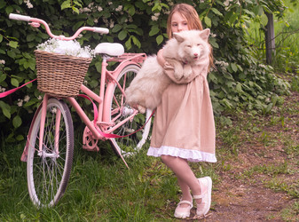 Similar image 21680809