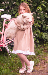 Similar image 21680814