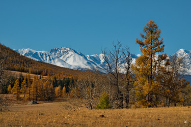 Similar image 21675622