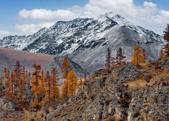 Similar image 21675623