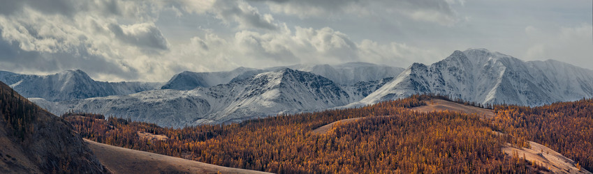 Similar image 21675625