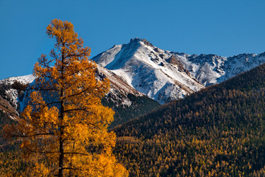 Similar image 21675626