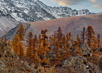 Similar image 21675628