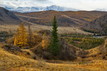 Similar image 21675629