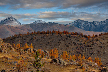 Similar image 21675631