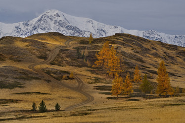 Similar image 21675632