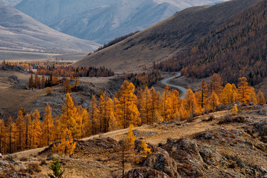 Similar image 21675634