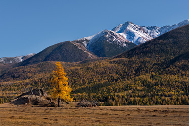 Similar image 21675635