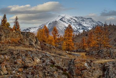 Similar image 21675638