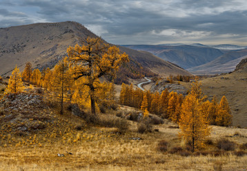 Similar image 21675641