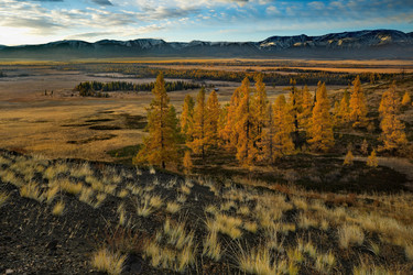 Similar image 21675642