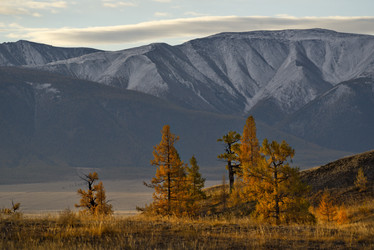 Similar image 21675643