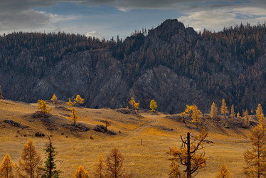 Similar image 21675644