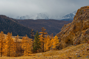 Similar image 21675645