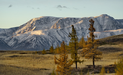 Similar image 21675646