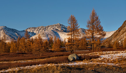 Similar image 21675647