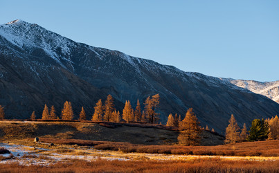 Similar image 21675648