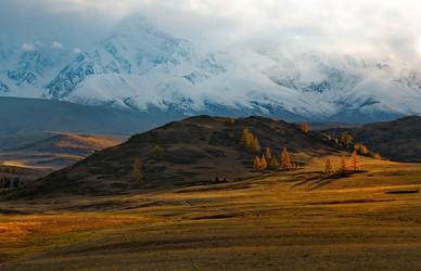 Similar image 21675653