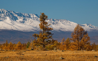 Similar image 21675655