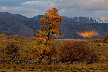 Similar image 21675656