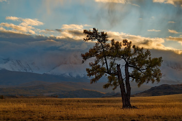 Similar image 21675658