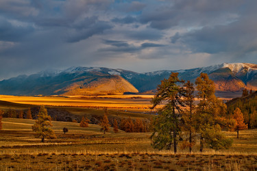 Similar image 21675659