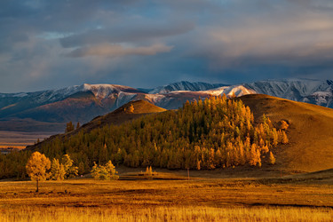 Similar image 21675661