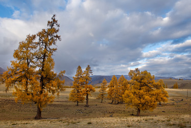 Similar image 21675665