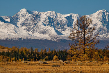 Similar image 21675666