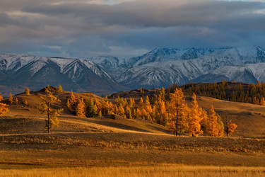 Similar image 21675667