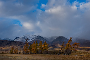 Similar image 21675669