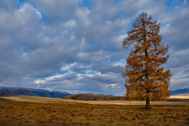 Similar image 21675670