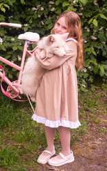 Similar image 21681407