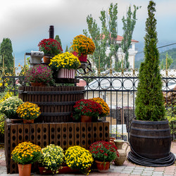 Similar image 21675265