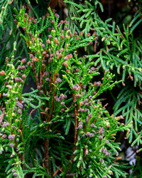 Similar image 21675266