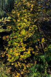 Similar image 21675269