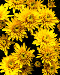 Similar image 21675272