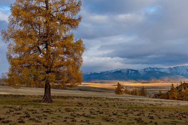 Similar image 21675672