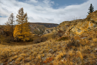 Similar image 21675674