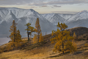 Similar image 21675675