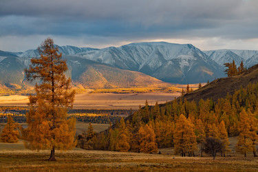 Similar image 21675676